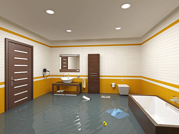 Best Water Damage Assessment and Inspection in Monroe, WA